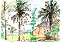 Sketches Zaire