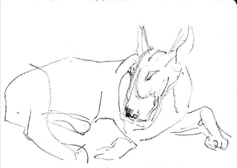 Boulie van Bobbie, Doorn 2000, snelle schetsen door Benja Maton (gesleept) 2.jpeg