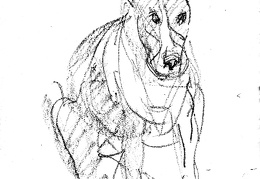 Boulie van Bobbie, Doorn 2000, snelle schetsen door Benja Maton (gesleept) 5