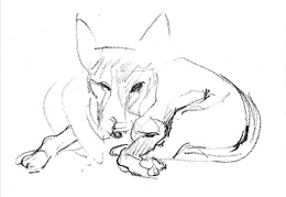 Boulie van Bobbie, Doorn 2000, snelle schetsen door Benja Maton (gesleept)